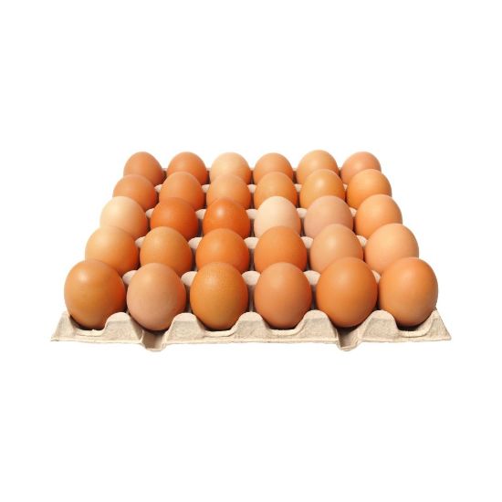Picture of Eggs Bracklyn (12 Trays) Boxes
