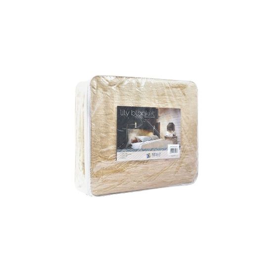 Picture of BLANKET SESLI HOTEL BEIGE KING 220x285
